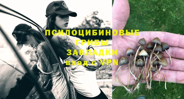 соль курить ск Богородск
