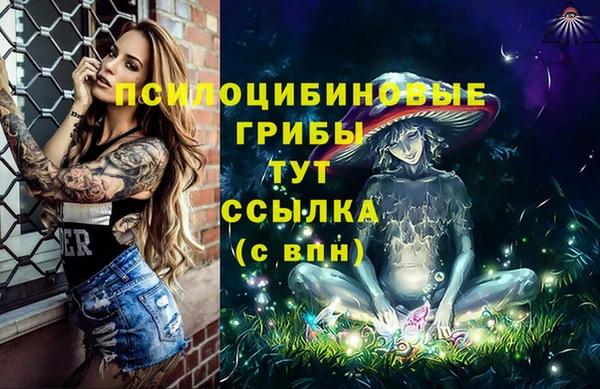 соль курить ск Богородск