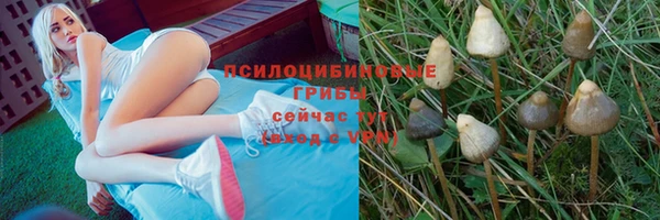 молекула духа Белокуриха