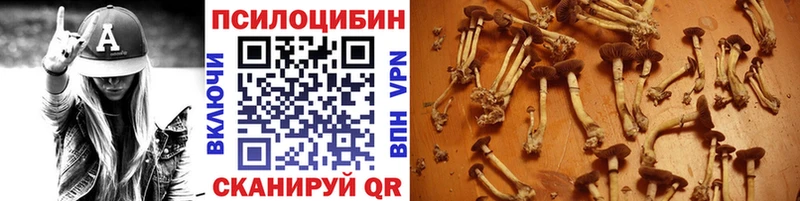 Галлюциногенные грибы мицелий  Балей 